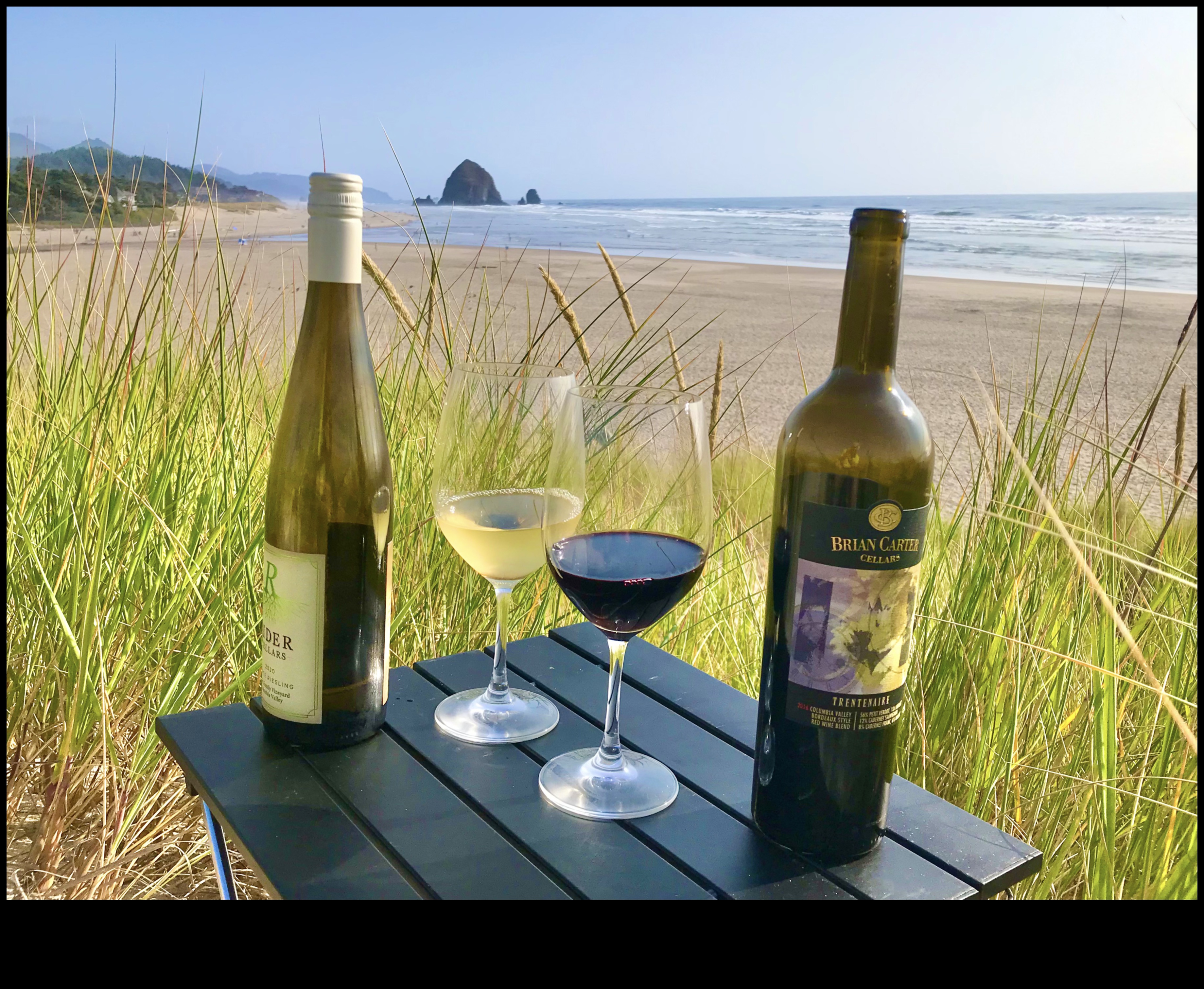 Απολαύστε τους αμπελώνες: Γαλλικό κρασί και μαγειρική μαεστρία