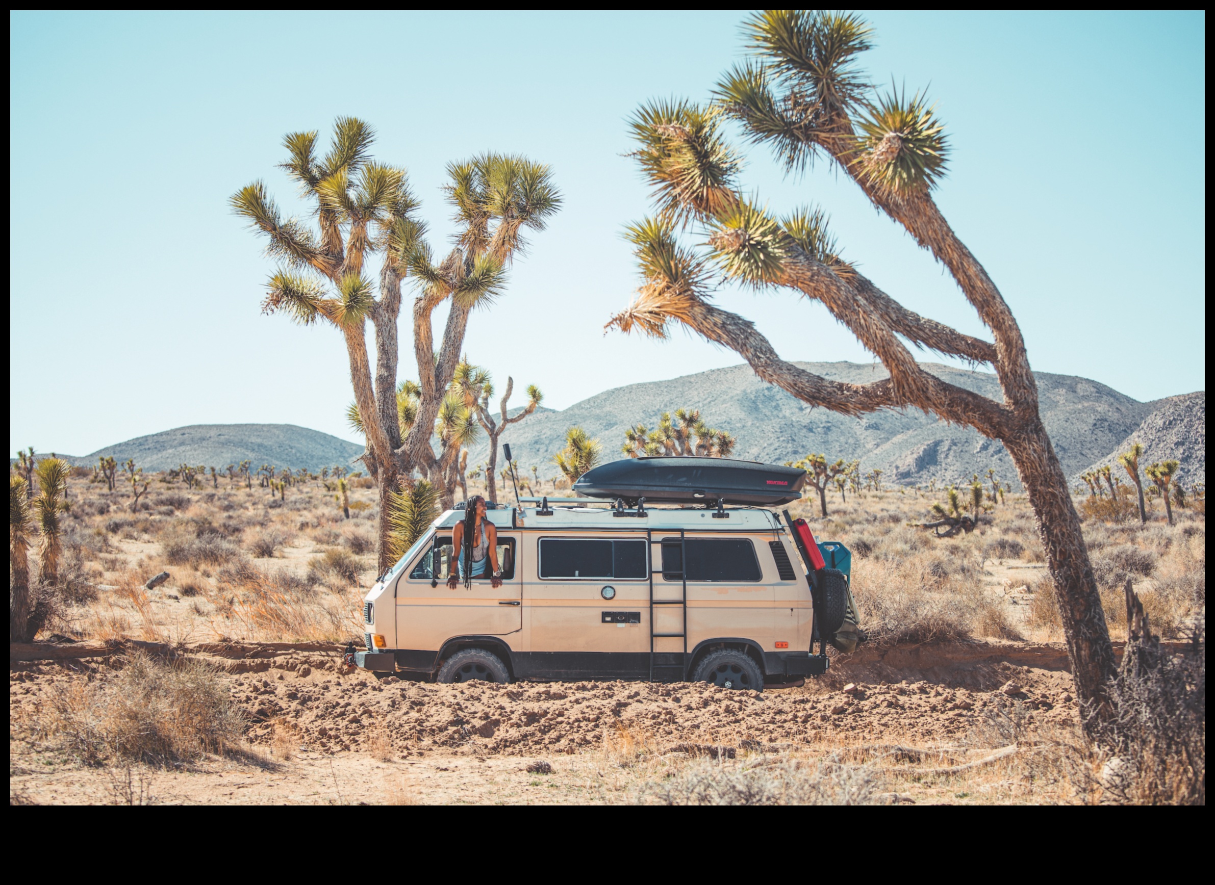 Nomadic Noirs: Exploring the Darker Side of Van Adventures