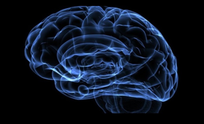 Timeoral Strokes: The Dynamic Flow of Time in Ancient Artistry