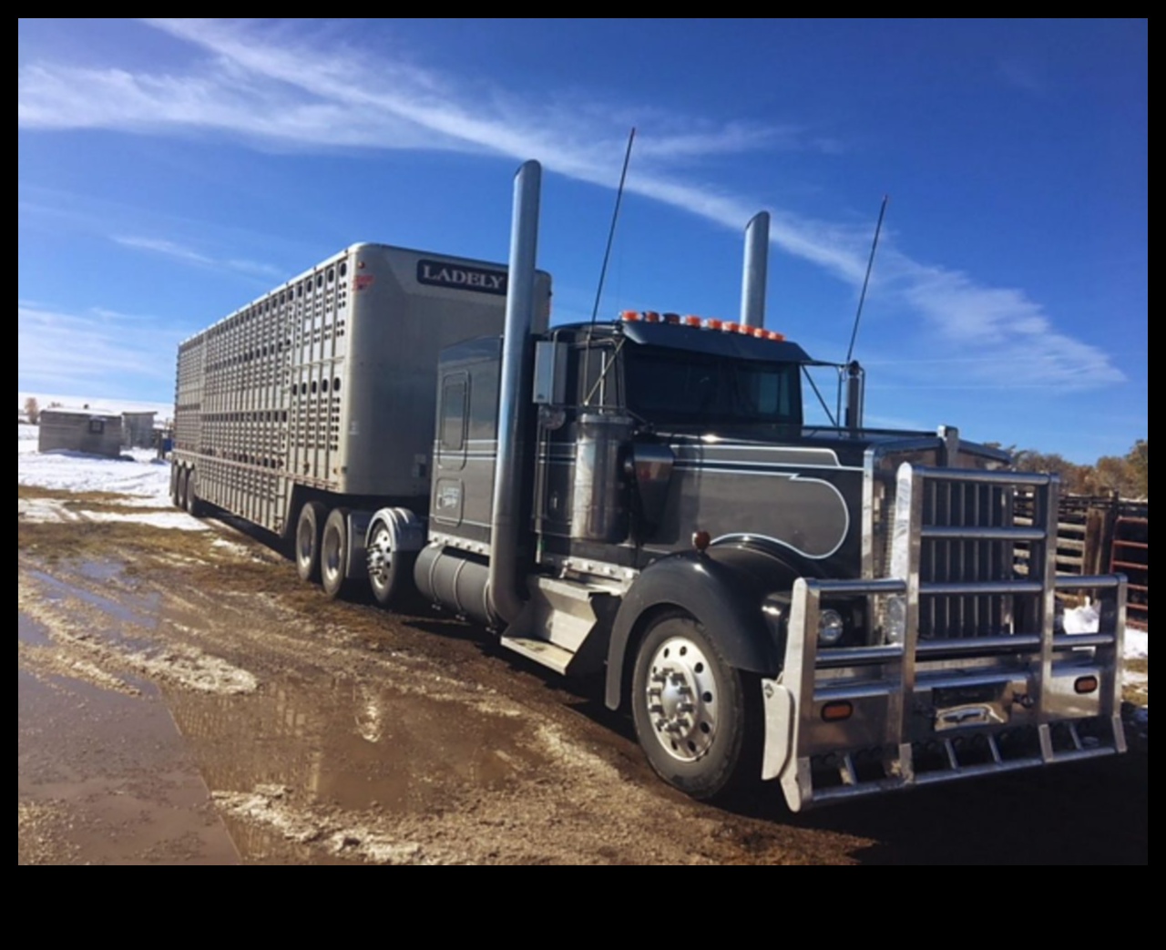 Rural Rigs: Trucks as Lifelines in Agriculture and Farming