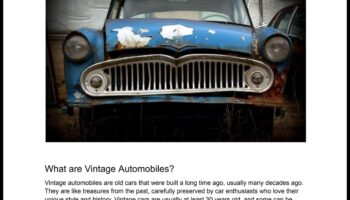 Classic Chronicles: Vintage Vehicles and Stories of Enduring Passion