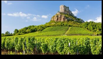 Απολαύστε τους αμπελώνες: Γαλλικό κρασί και μαγειρική μαεστρία